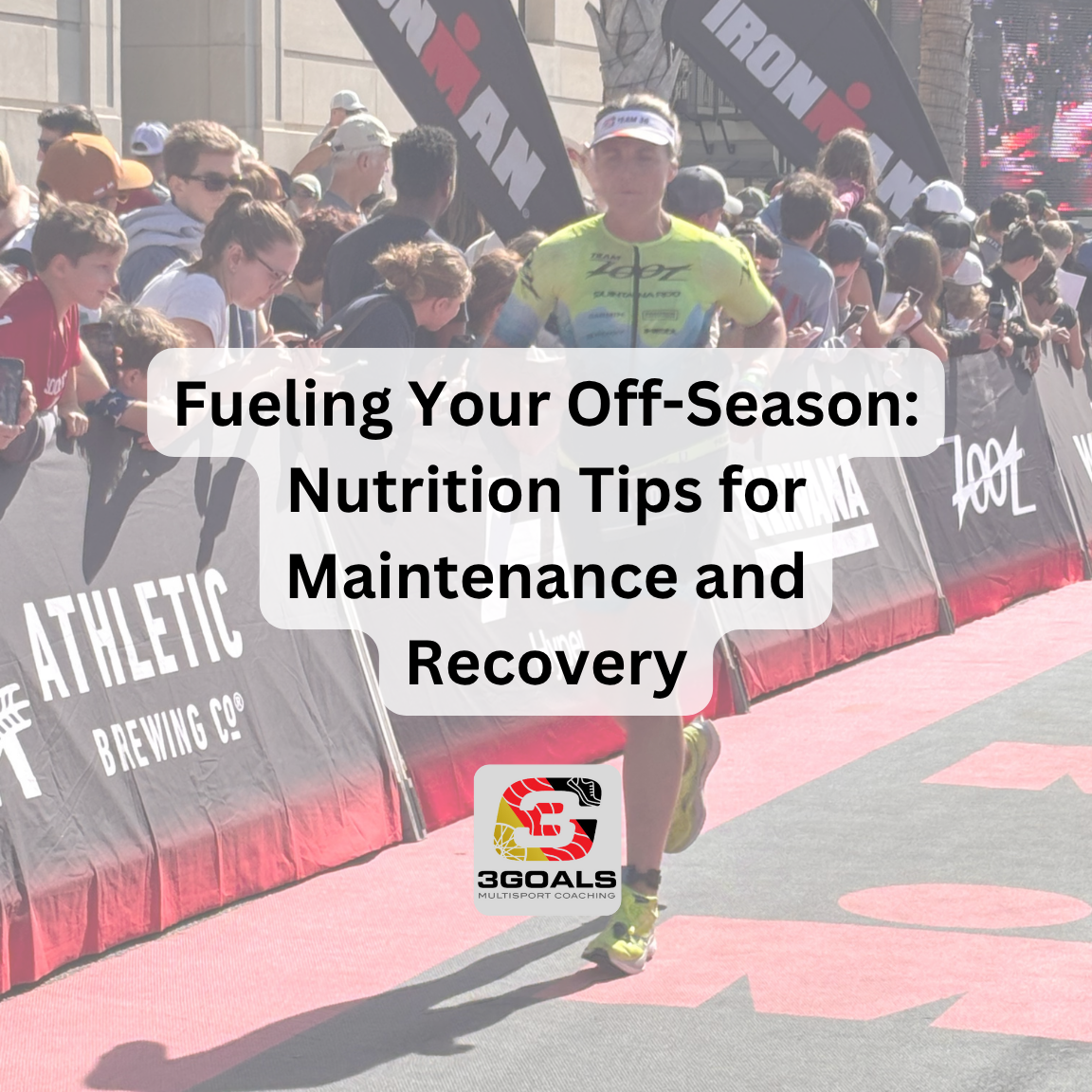Fueling Your Off-Season: Nutrition Tips for Maintenance and Recovery