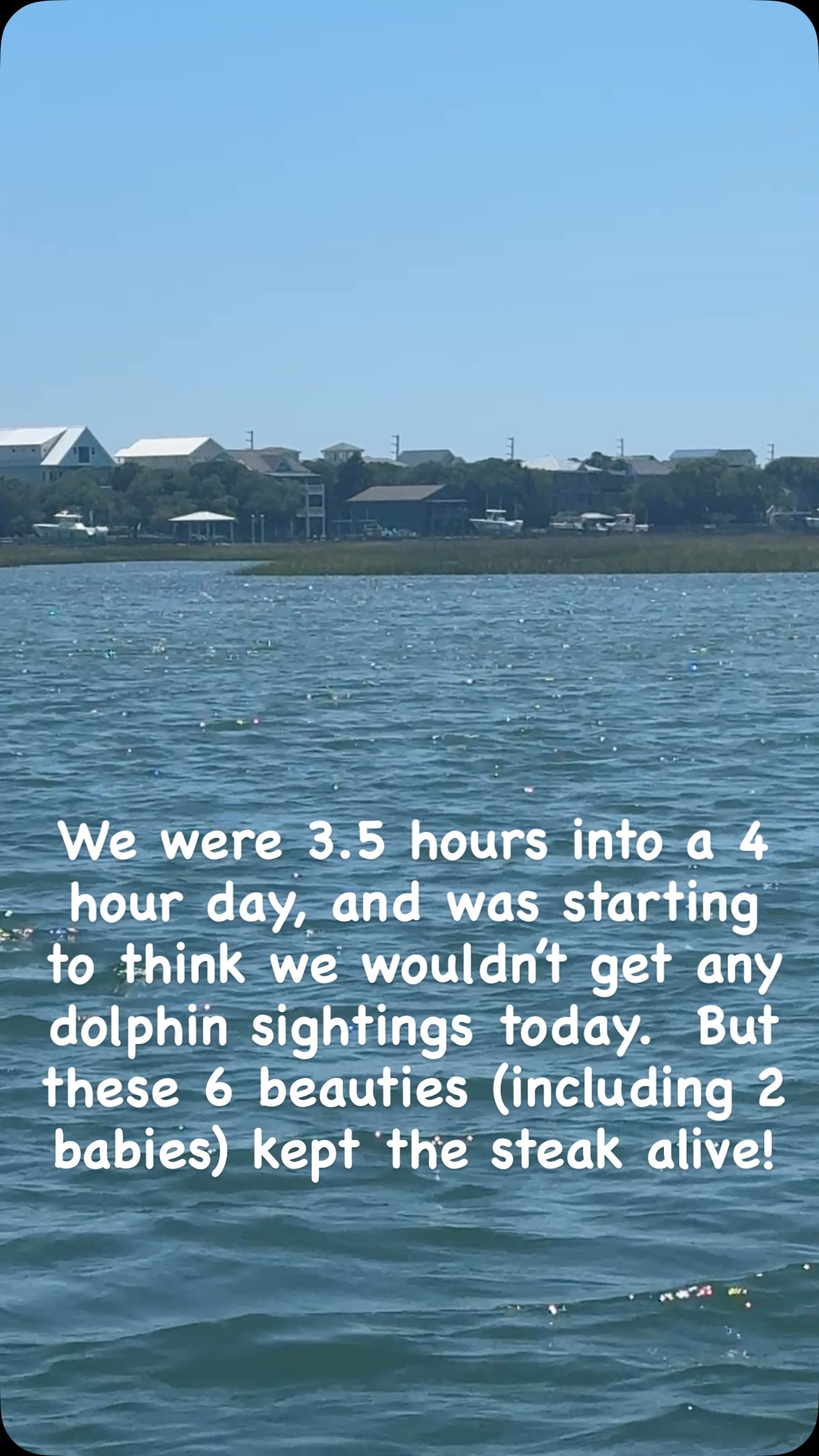 #dolphinsightings #jetskilife #jetskifun #lovewhereyoulive